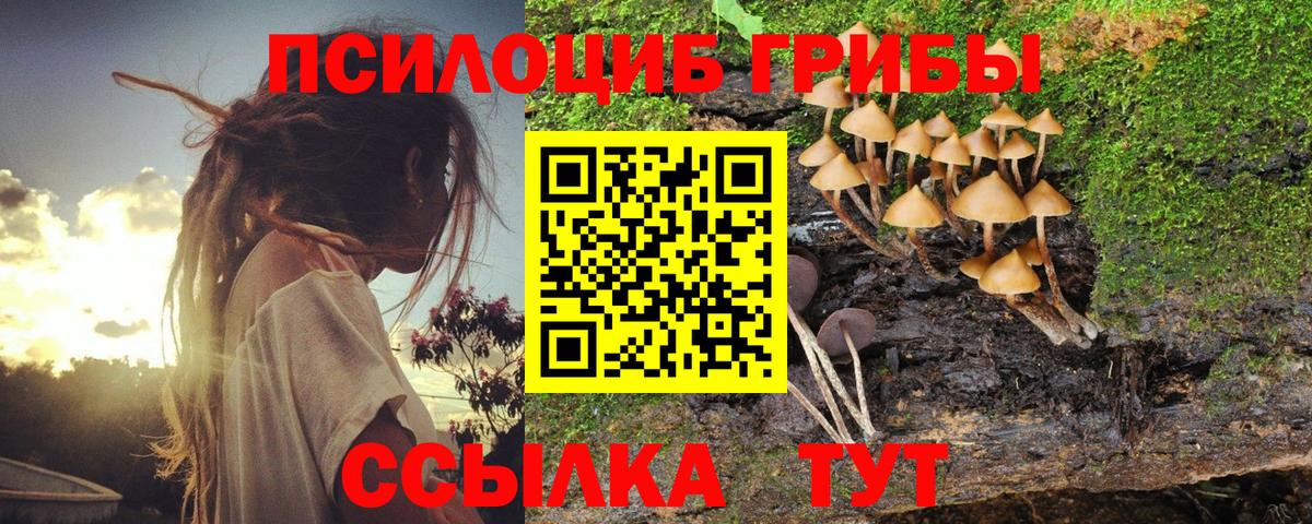 Миасс  цена   Вход с VPN  Галлюциногенные грибы Cubensis  Псилоцибиновые грибы MAGIC MUSHROOMS 
